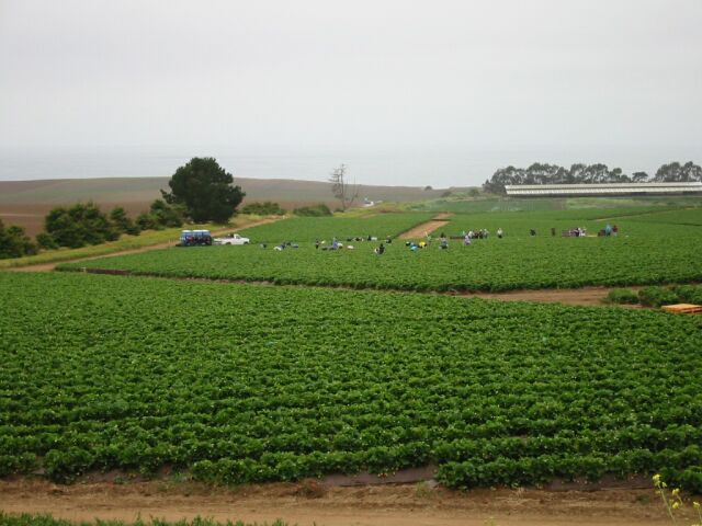 South of Santa Cruz, still on the coast...